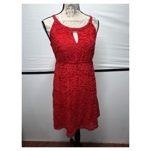 Loft A-Line Lace Dress #C044792